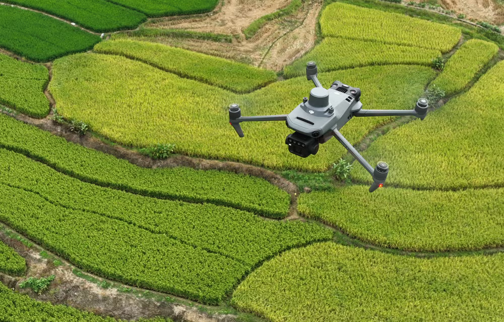 AGRICULTURA